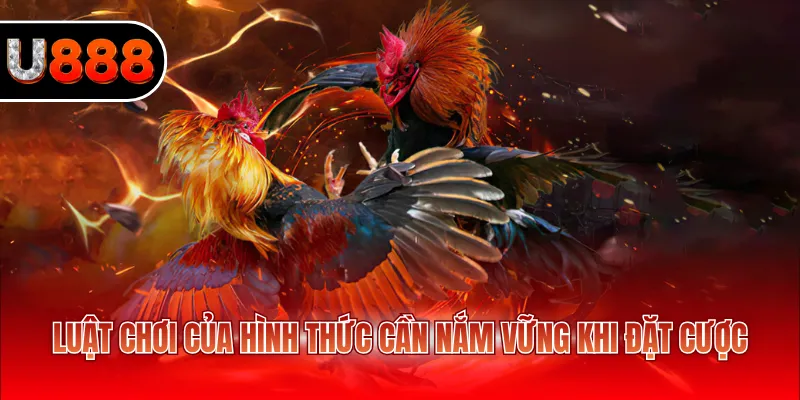 Luật chơi của hình thức cần nắm vững khi đặt cược